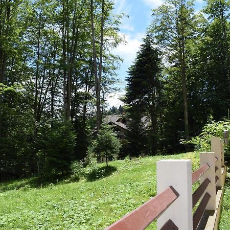Alpin Residence Sinaia Exteriör bild