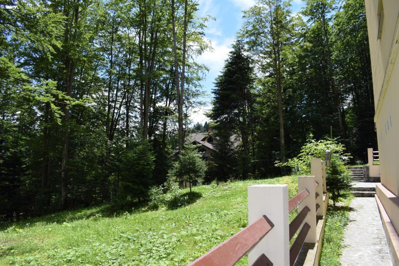 Alpin Residence Sinaia Exteriör bild